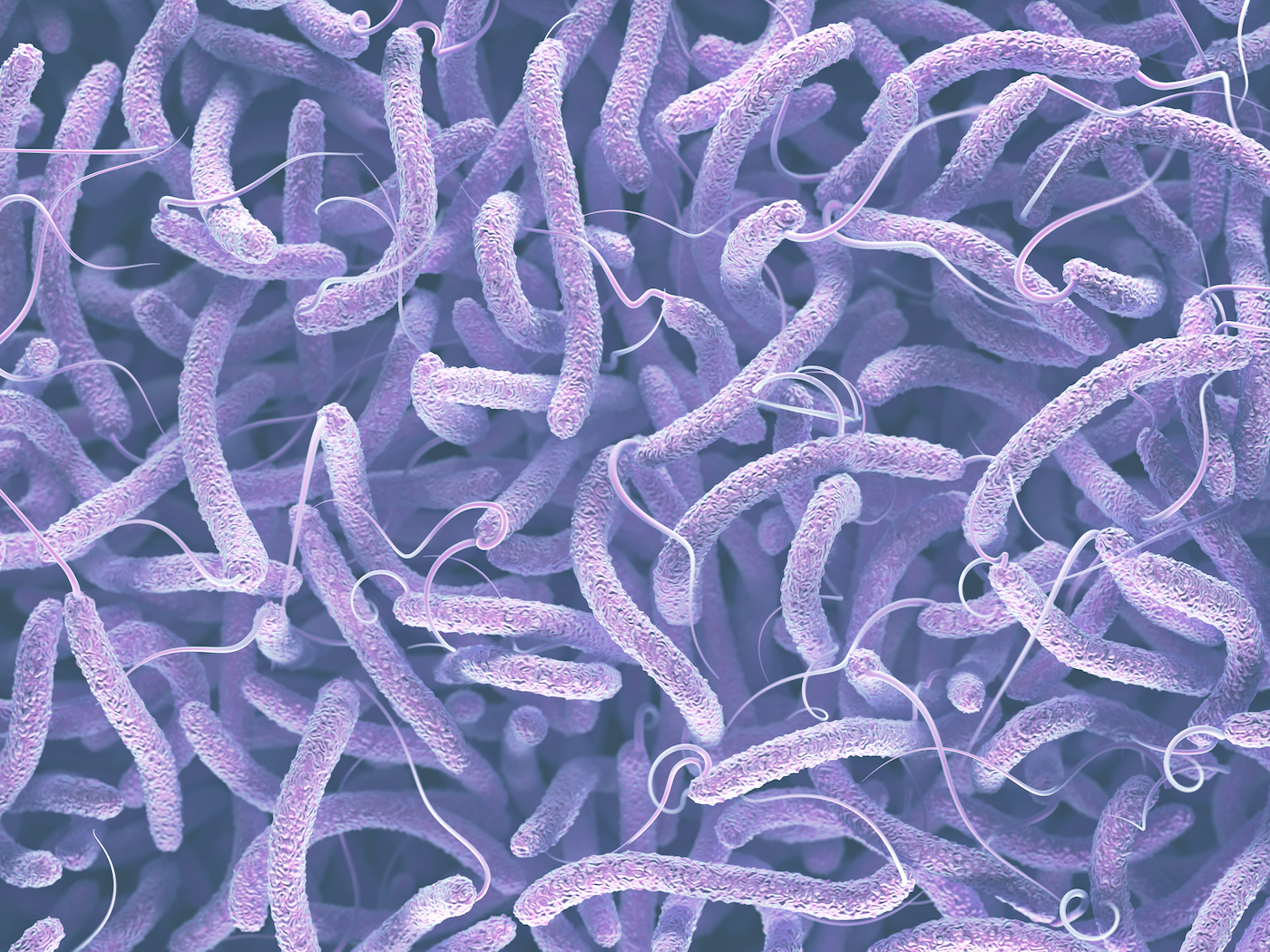 Infecciones por Vibrio: un recuerdo para no traer de regreso de la playa